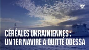 Céréales ukrainiennes: un premier navire a quitté le port d'Odessa