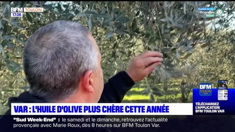Var: l'huile d'olive plus chère cette année en raison de l'inflation