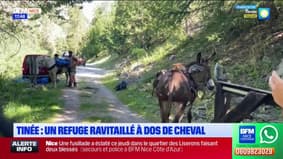 L'été chez nous: un refuge de la Tinée ravitaille à dos de cheval