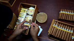 Un travailleur dans l'usine de cigares Cohiba à la Havane le 8 spetembre 2022