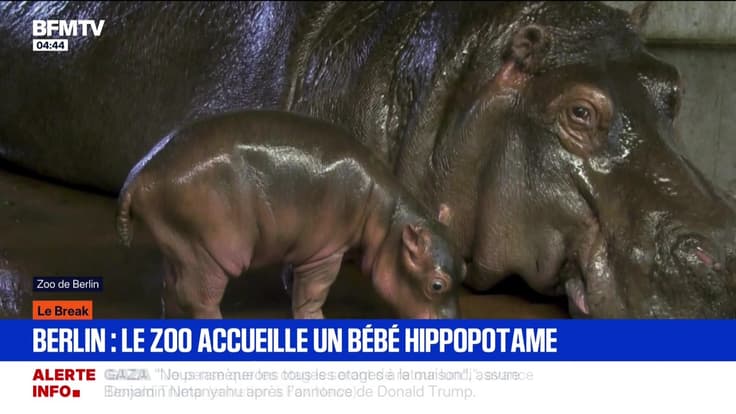 Le break du 9 octobre