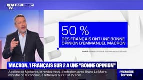 Un Français sur deux a une "bonne opinion" d'Emmanuel Macron, selon un nouveau sondage