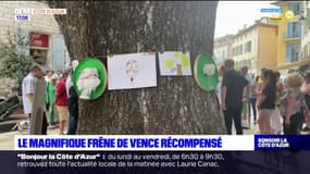 Vence: cérémonie de remise de prix pour le frêne planté au 16e siècle
