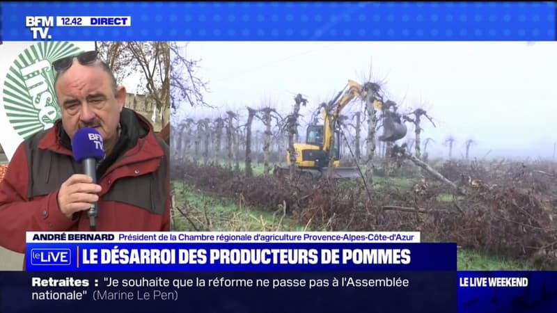 André Bernard, de la Chambre d'agriculture de la région PACA, sur le désarroi des producteurs de pommes: 