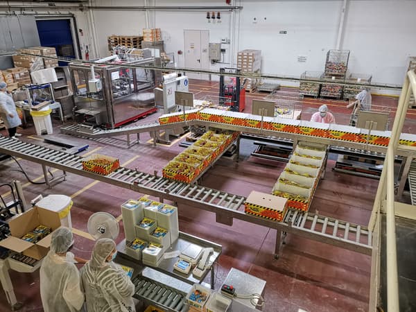 Une ligne de production des bonbons "Têtes brûlées" dans l'usine de Neuville-en-Ferrain (Nord).