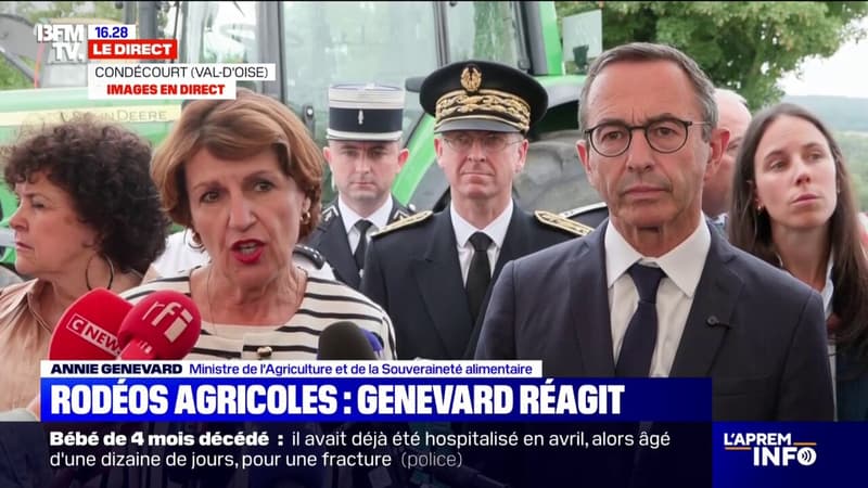 Rodéos agricoles: 