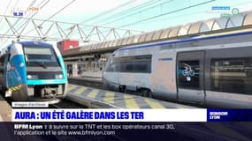 Auvergne-Rhône-Alpes: des annulations de train en série cet été