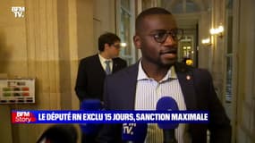 Story 2 : Marine Le Pen reconnaît une "Maladresse" de la part de Grégoire de Fournas - 04/11