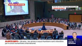 Volodymyr Zelensky: "Les Russes ont commis des exécutions sommaires" à Boutcha