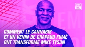 Mike Tyson