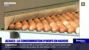 Alsace: la consommation d'œufs en hausse