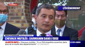 Chevaux mutilés: Gérald Darmanin appelle les Français propriétaires de chevaux à ne pas "se faire justice eux-mêmes"