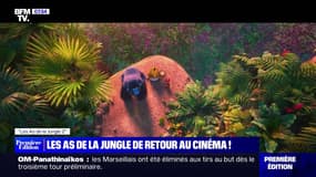 Les As de la Jungle de retour au cinéma ! - 16/08