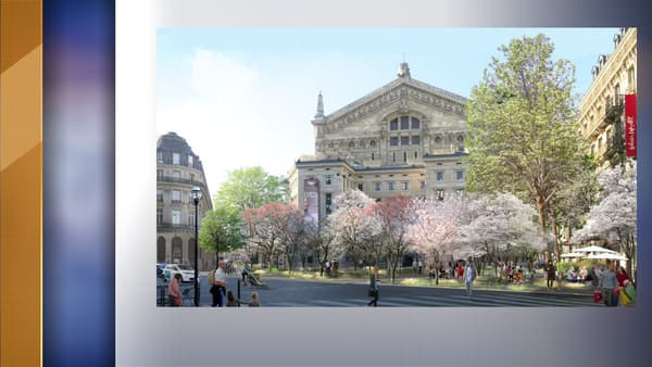 Une "forêt urbaine" sera bientôt installée derrière l'opéra Garnier Une "forêt urbaine" sera bientôt installée derrière l'opéra Garnier