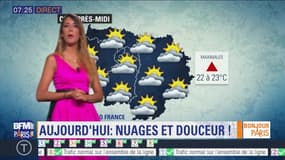 Météo Paris-Île de France du 30 mai: Nuages et douceur ce jour