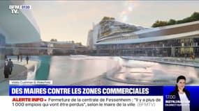 Le combat de certains maires contre la construction de nouvelles zones commerciales