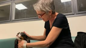 Karine, hospitalisée à La Seyne-sur-Mer, fait partie des patients ayant profiter de la présence de ces compagnons à quatre pattes.