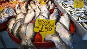 Des poissons vendus comme "saumons" dans un marché aux poissons à Trabzon, en Turquie, le 11 juin 2025 (photo d'illustration).
