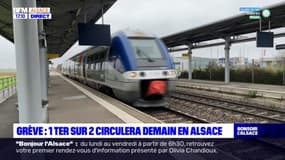 Grève: un TER sur deux ne circulera pas mercredi en Alsace