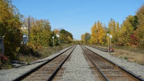 Avec l'humidité, les feuilles mortes se collent aux rails et posent des problèmes d'adhérence.