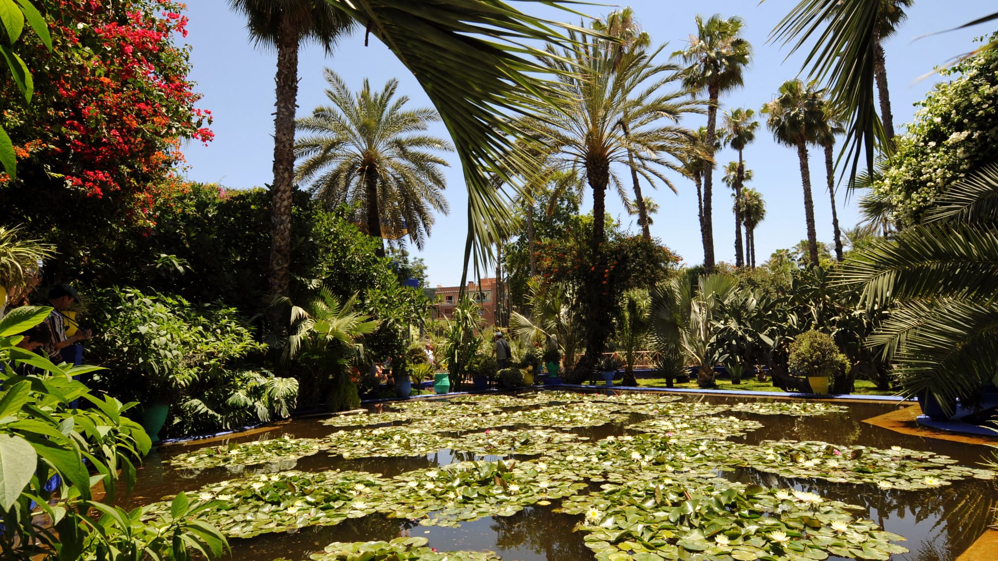 Le jardin Majorelle, le 4 juin 2008, à Marrakech
