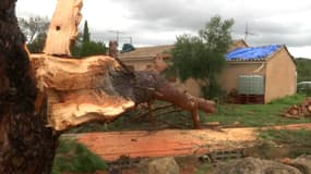 Ce mardi 24 octobre, la commune de Vidauban (Var), a été touchée par une violente tornade. 