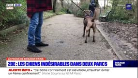 Paris: les chiens désormais interdits dans deux parcs du 20e, les habitants sont en colère 