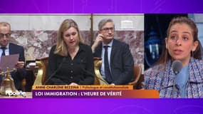 Loi Immigration : "Le Conseil n'est pas là pour "nettoyer" la loi et ses imprécisions"