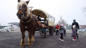 La calèche qui sert de transport scolaire, à Ungersheim (Haut-Rhin)