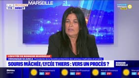 Me Isabelle Gharbi-Terrin, avocate pénaliste et Véronique Scarica, présidente de la spame, reviennent sur la souris mâchée lors d'une soirée d'intégration à Marseille