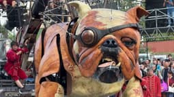 Bull Machin, chien mécanique imaginé par la compagnie Royal de Luxe, affrontera son compère Xolo dans une course ce dimanche.