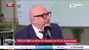 Intelligence artificielle : "L'IA n'est que la poursuite d'une évolution qu'a été internet", estime Fred Hermel