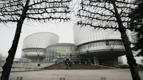 Le bâtiment de la Cour européenne des droits de l'Homme (CEDH), le 27 novembre 2013 à Strasbourg