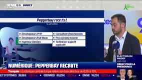 Numérique: l'éditeur de logiciels Pepperbay recrute 