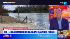 Île-de-France: le laboratoire de la faune sauvage ferme