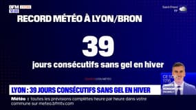 Lyon: 39 jours consécutifs sans gel en hiver, un record