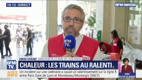 Ligne R: la SNCF annonce que l'incident sur un caténaire entre Montereau/Montargis et Gare de Ltyon a été résolu