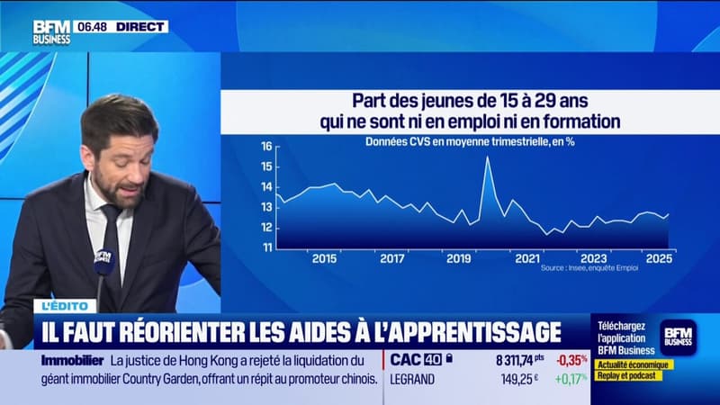 Faut-il réorienter les aides à l'apprentissage ?