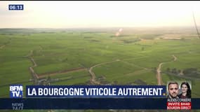 Sur les routes de la Bourgogne viticole