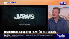For the 50th anniversary of the film of the teeth of the sea. an outdoor screening in Sables d'Olonne gathered around 300 people jean-baptiste guégan, vocal lookalike johnny
