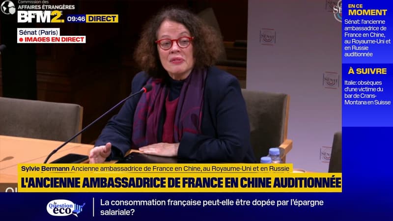 "Je crois qu'on s'est trompé": l'ancienne ambassadrice de France en Chine, au Royaume-Uni et en Russie, revient sur les relations entre l'Europe et les USA