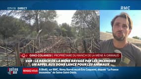 ino Colanesi, propriétaire d'un ranch dans la zone brûlée dans le Var