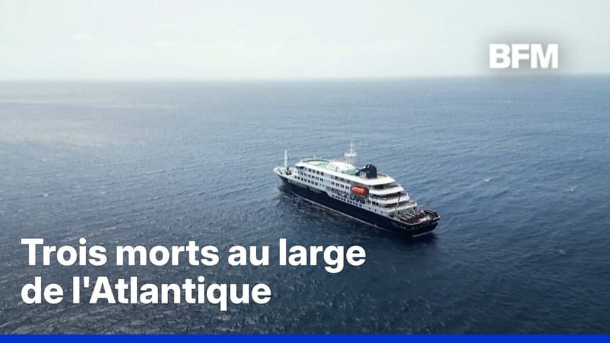 Hantavirus: cinq Français coincés à bord de ce bateau de croisière à cause du virus