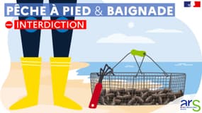 La baignade et la pêche à pied sont interdites jusqu'à nouvel ordre à Port-Bail-sur-Mer dans la Manche.