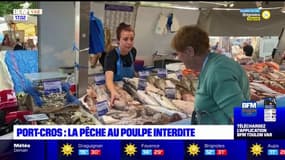 Var: la pêche au poulpe interdite jusqu'au 30 septembre à Port-Cros