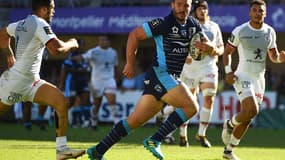 Louis Picamoles (Montpellier)