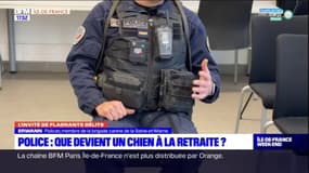 Brigade cynophile de la Seine-et-Marne: que devient le chien à la retraite?