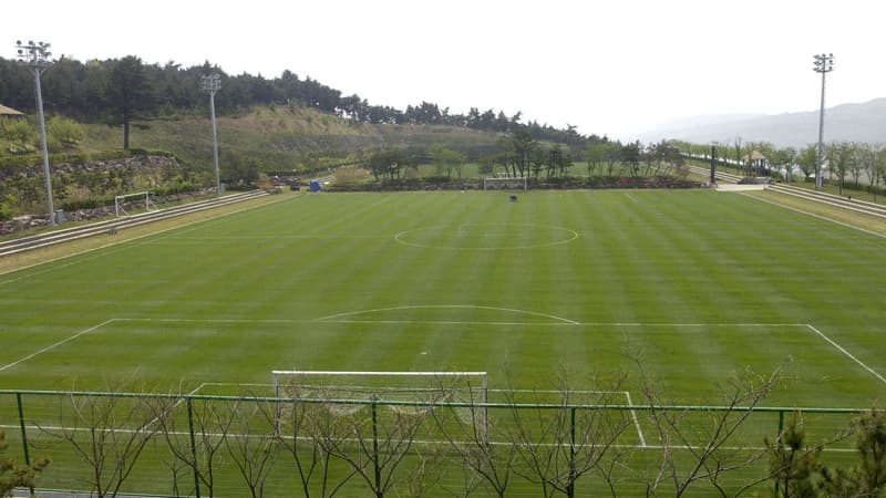 Terrain de football