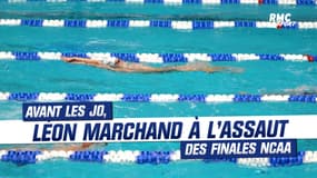 Avant les JO, Léon Marchand dispute... les finales NCAA