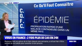 Coronavirus: faisons-nous face à une épidémie ou une pandémie ?